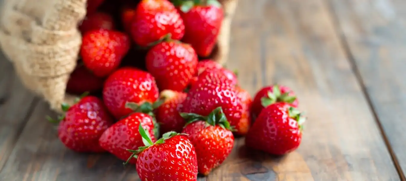 Choose Roots Agriculture for unmatched quality